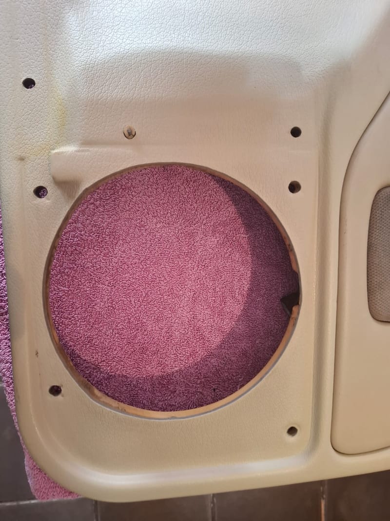 Car door speaker surround after detailing — cleaned interior trim, Johannesburg North